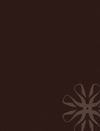 The Evelyn Mt Ommaney