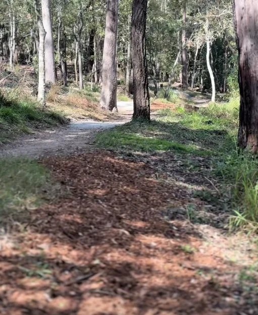 walking tracks