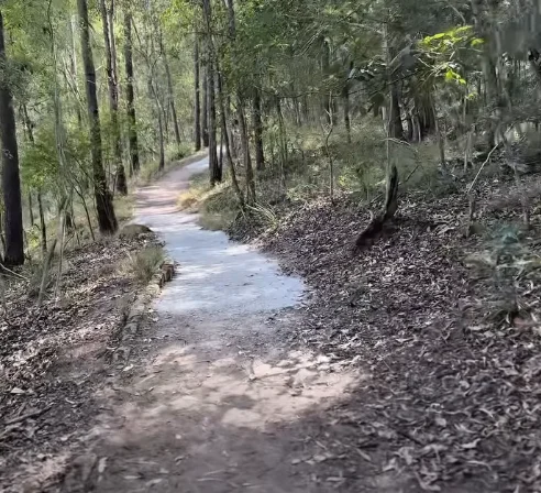 Coucal Trail