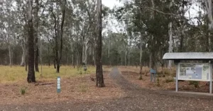 Pooh Corner Bushland Reserve