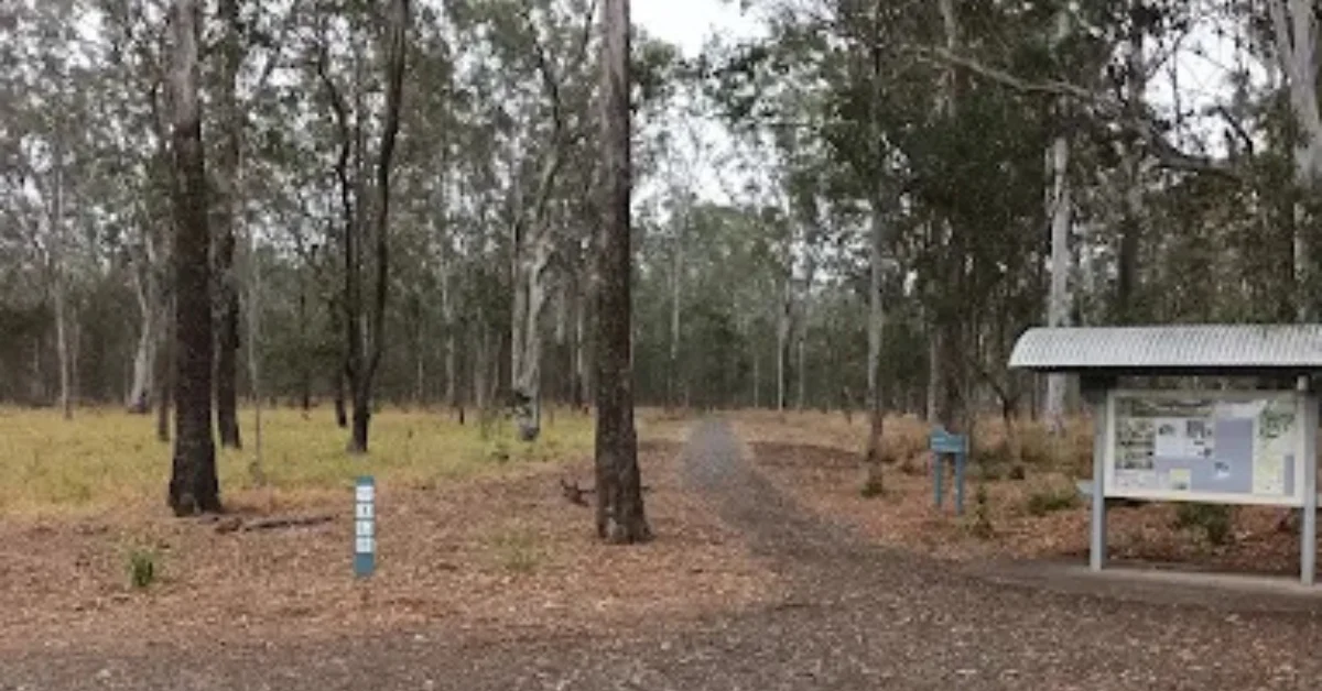 Pooh Corner Bushland Reserve